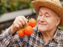 老人饮食要注意哪些？这十一点别忘了